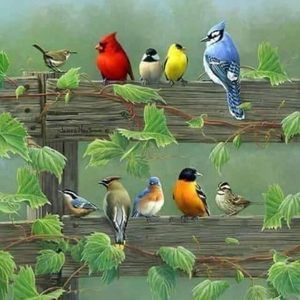 Meet your Posher, Carol